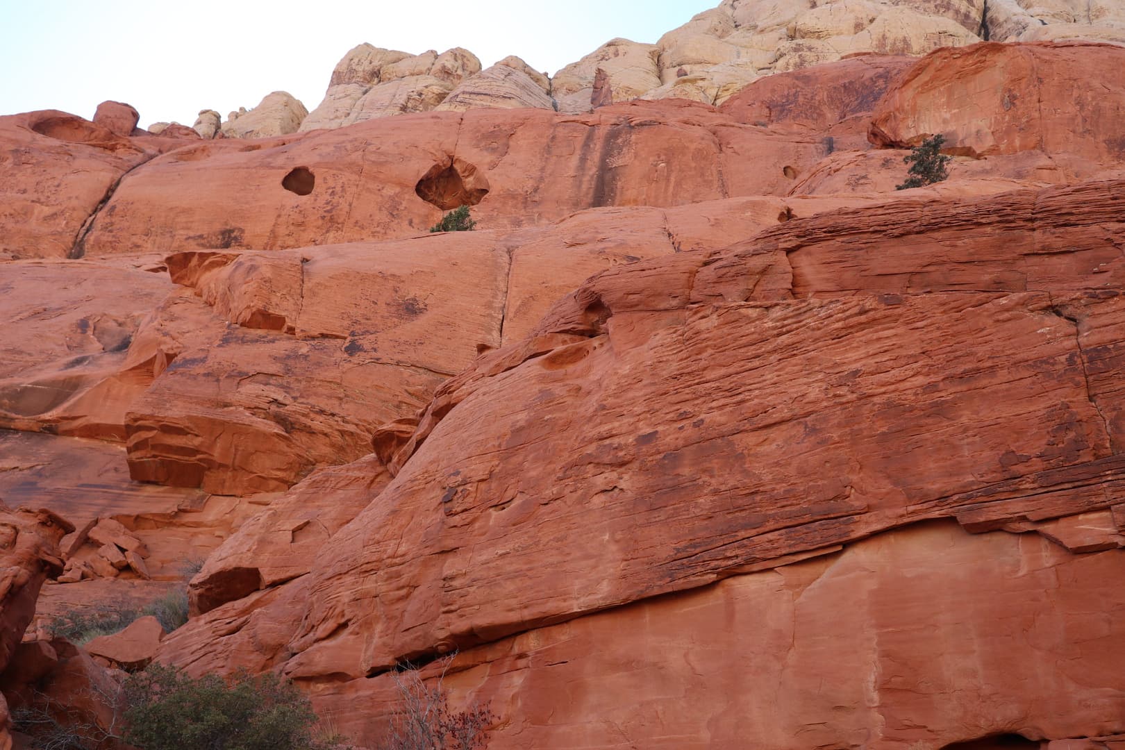 Calico Caves